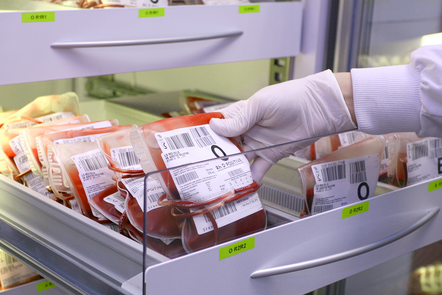 Blood for transfusion is stored at a controlled temperature in blood packs/ Picture credit NIBTS Blood for transfusion is stored at a controlled temperature in blood packs/ Picture credit NIBTS